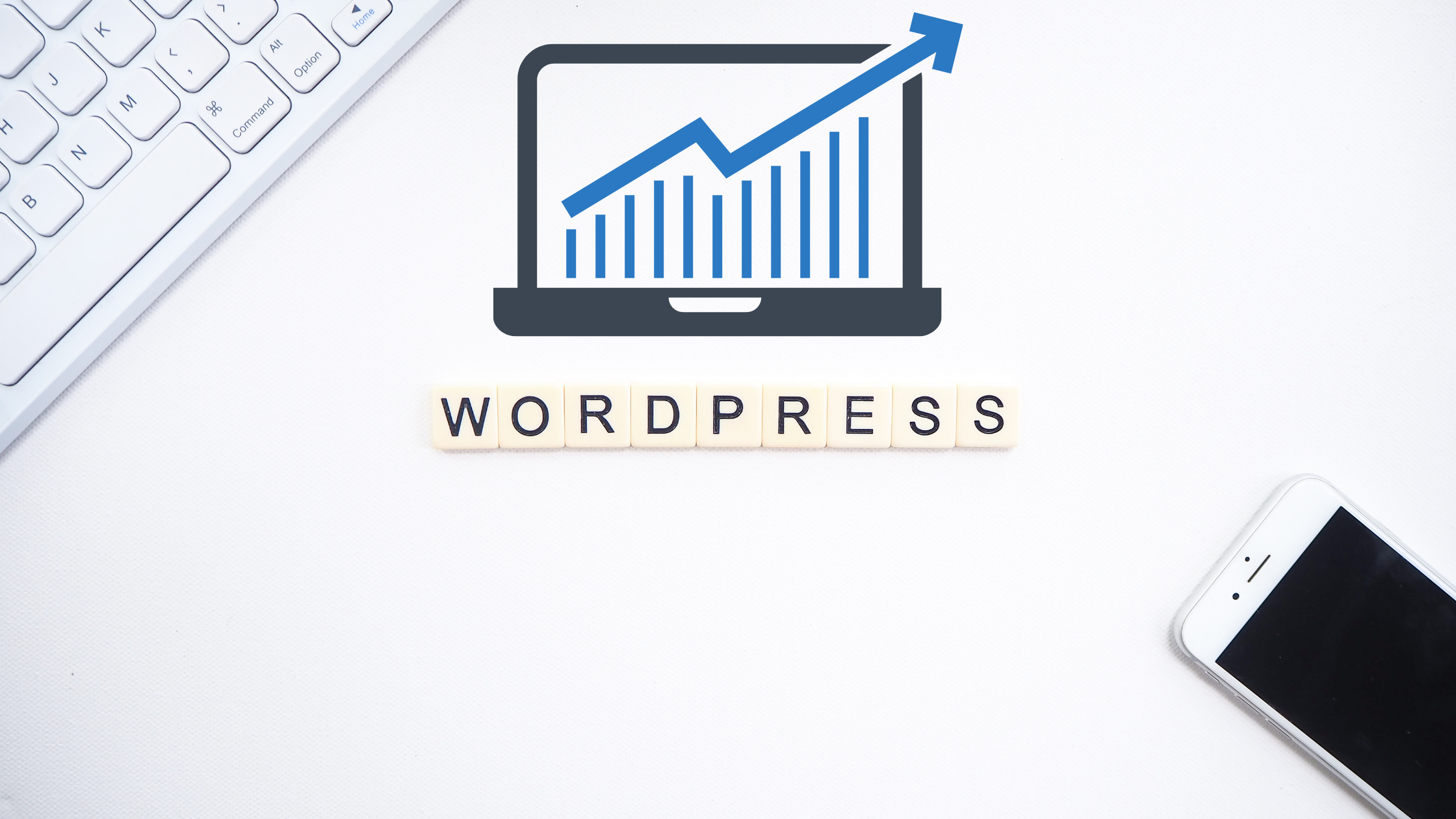 WordPress website traffic
