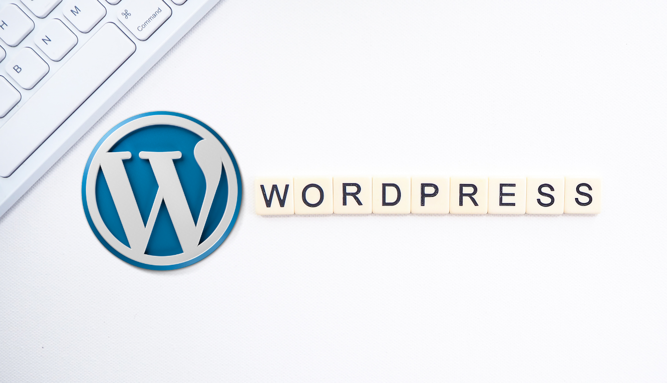 custom web development company WordPress