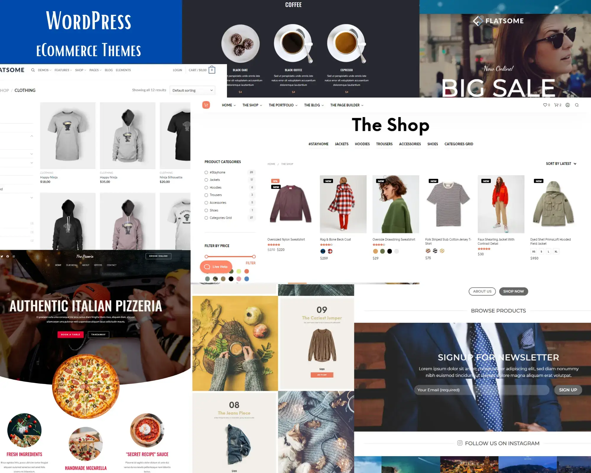 5 leading WordPress eCommerce Themes