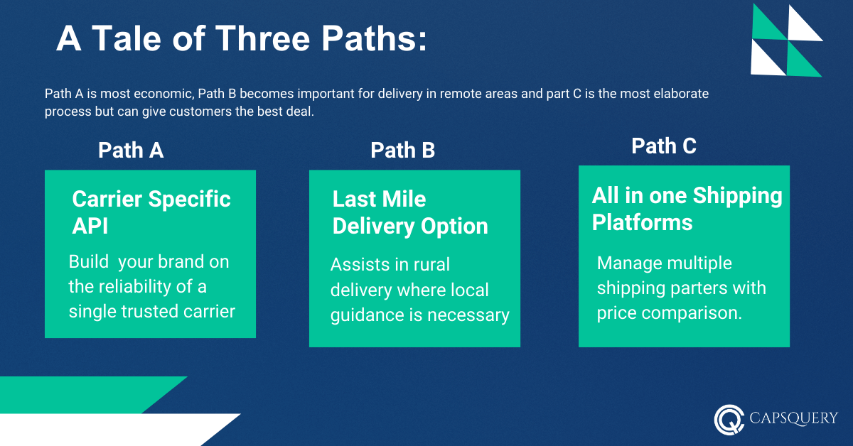 Web Development API integration in eCommerce website