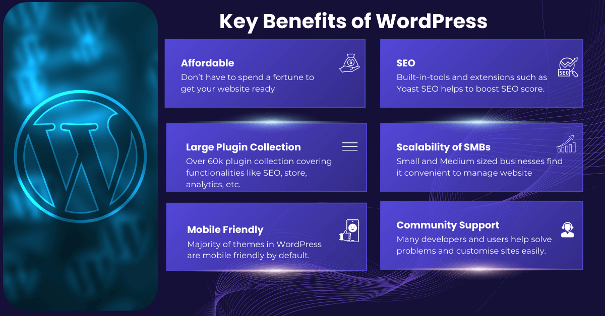 Dedicated WordPress developer in Houston