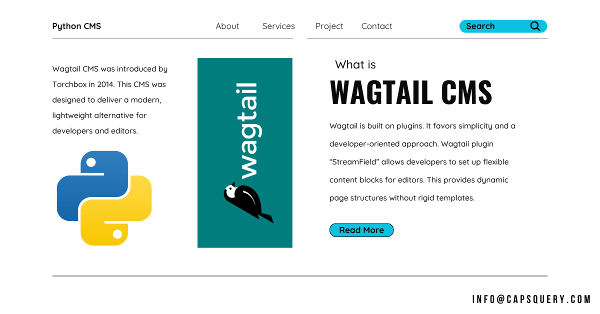 Best Python CMS for developers