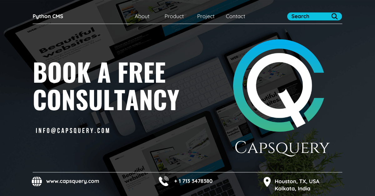 Python web development for businesses